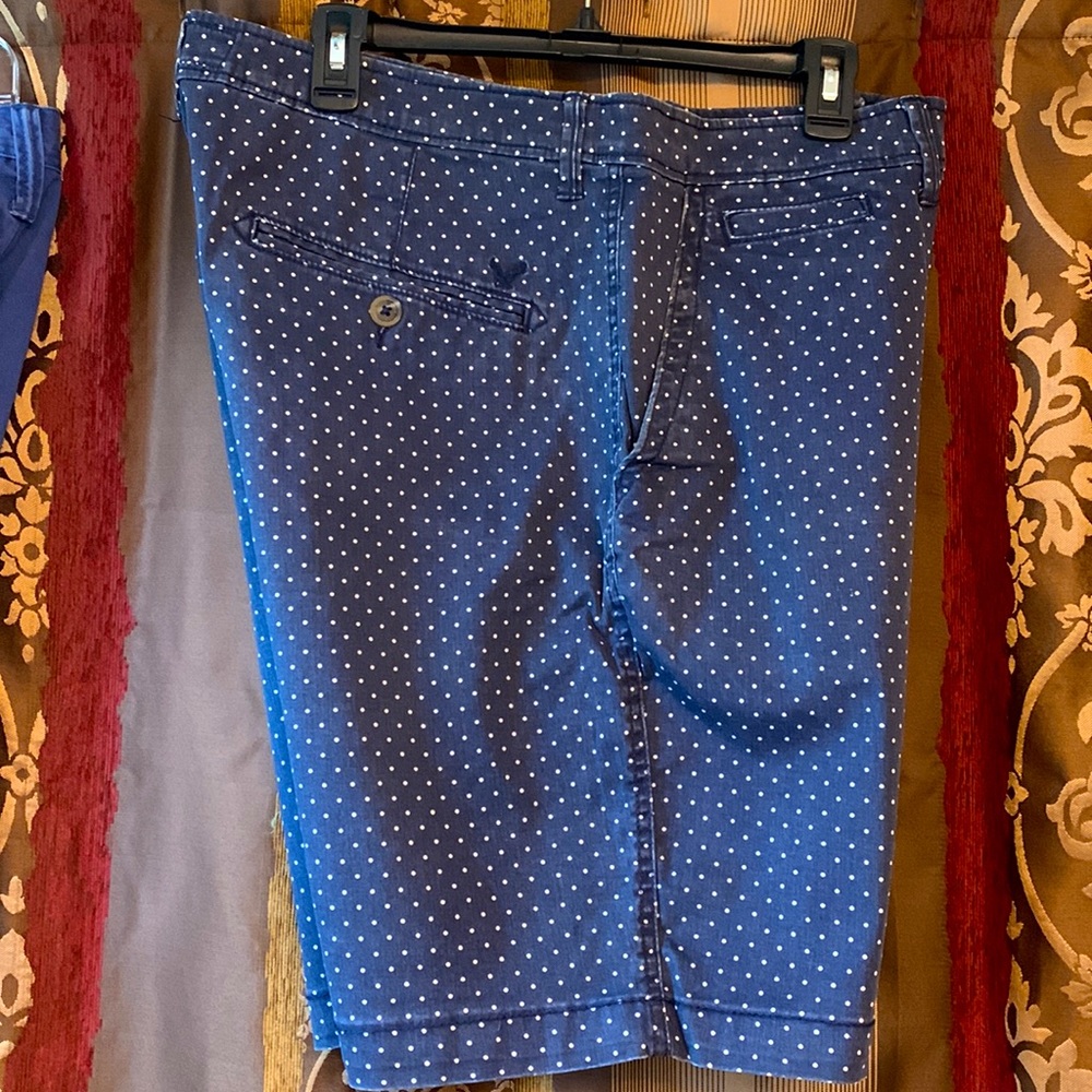 American Eagle Men’s Shorts Size 36 Blue
